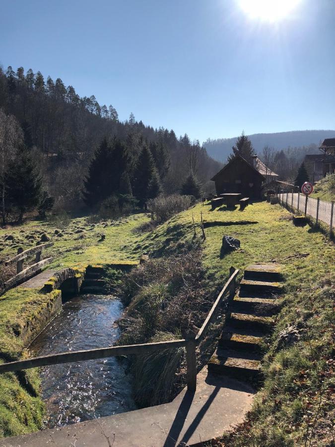 La Dependance De La Villa Des Oiseaux - La Petite Pierre Exterior foto