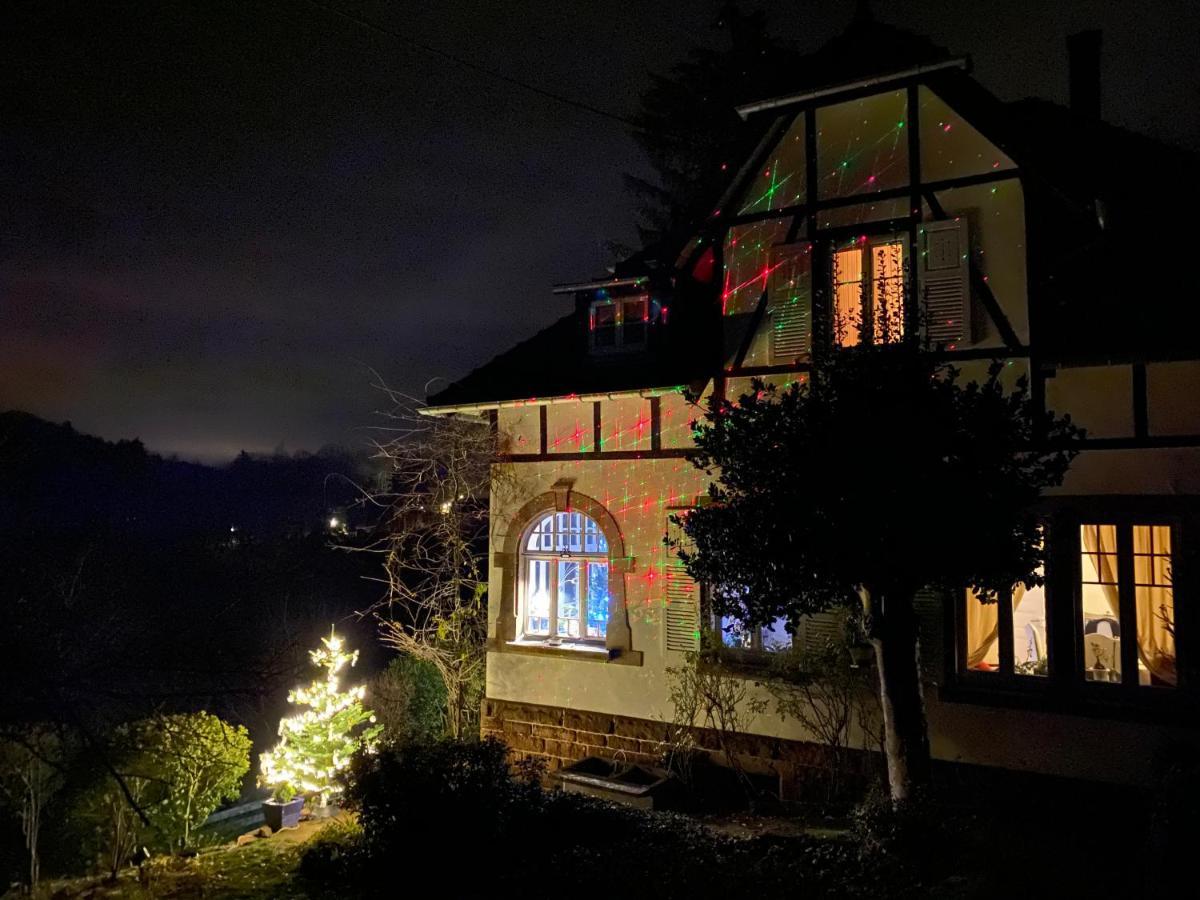 La Dependance De La Villa Des Oiseaux - La Petite Pierre Exterior foto