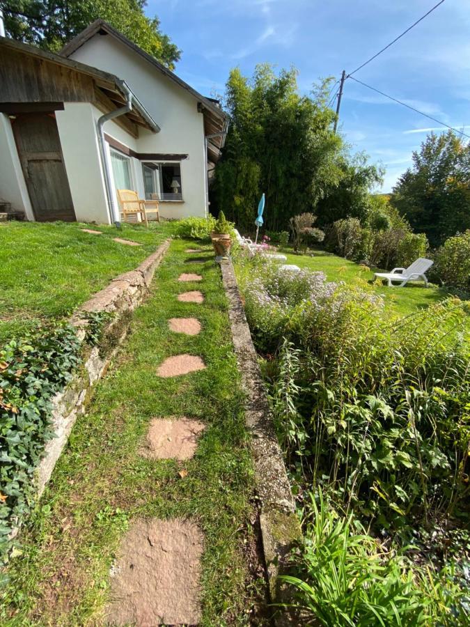 La Dependance De La Villa Des Oiseaux - La Petite Pierre Exterior foto
