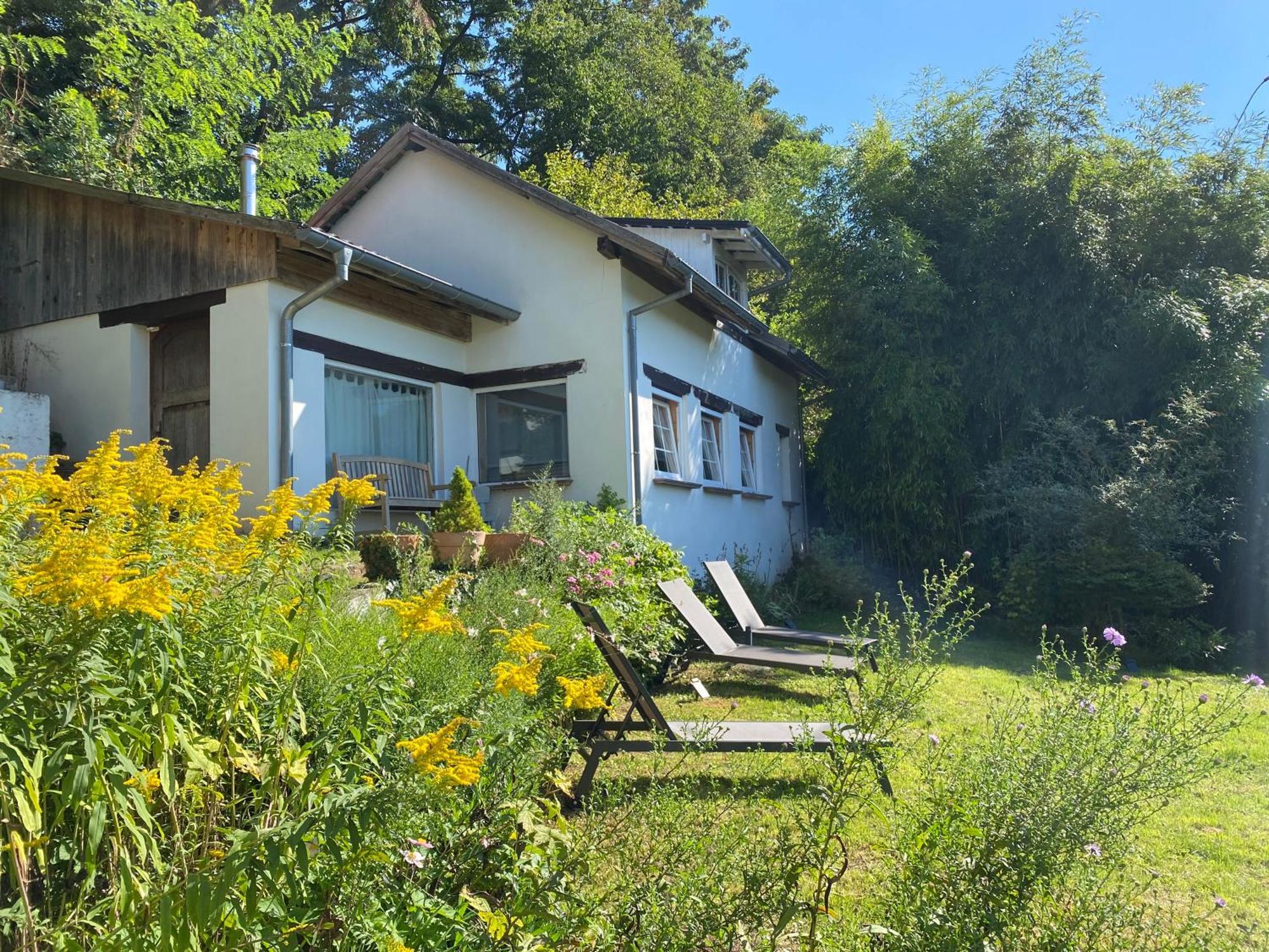 La Dependance De La Villa Des Oiseaux - La Petite Pierre Exterior foto