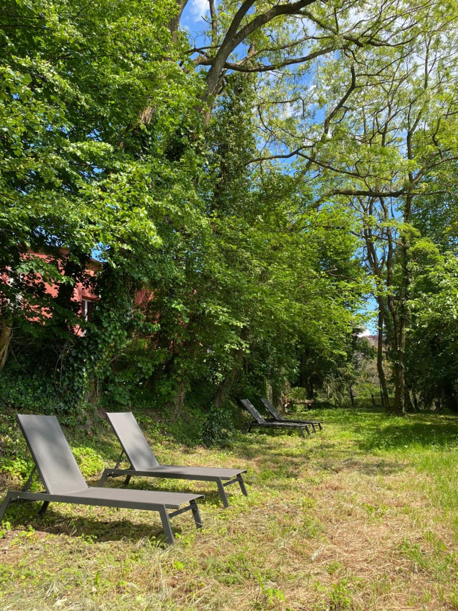 La Dependance De La Villa Des Oiseaux - La Petite Pierre Exterior foto
