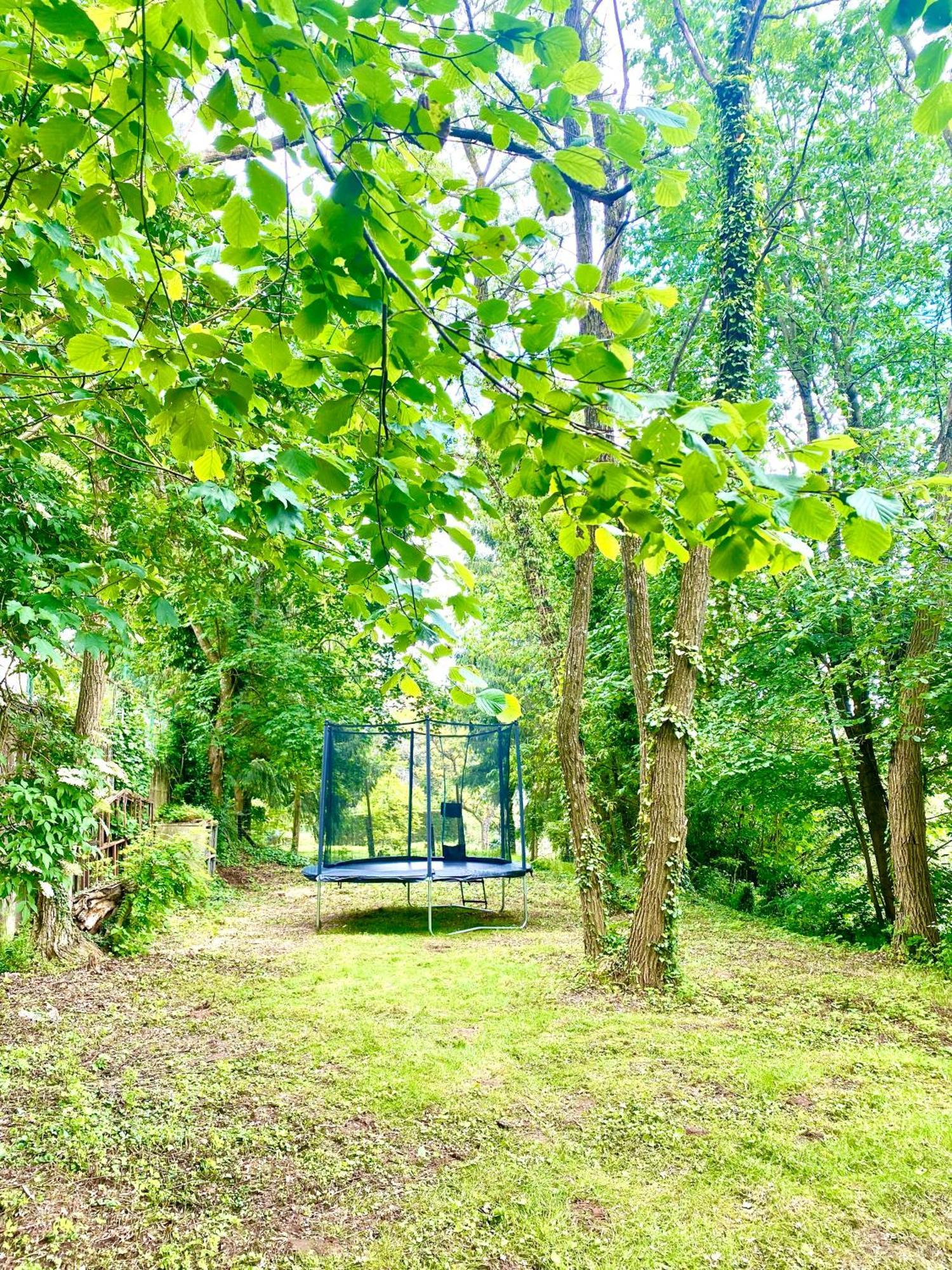La Dependance De La Villa Des Oiseaux - La Petite Pierre Exterior foto