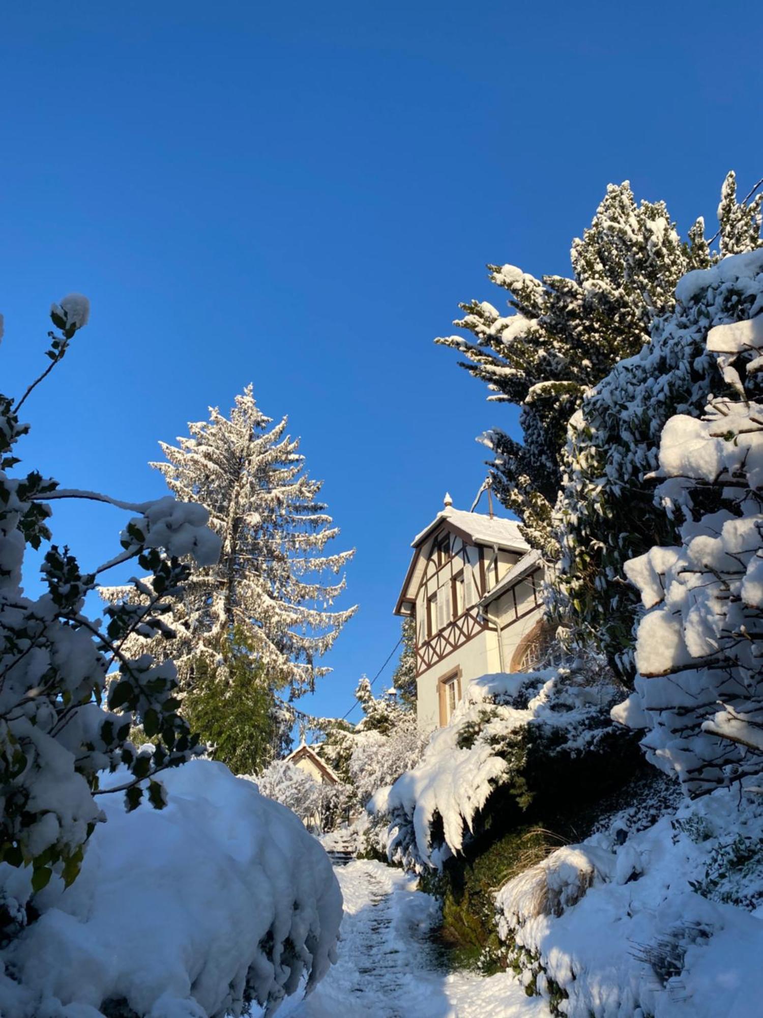 La Dependance De La Villa Des Oiseaux - La Petite Pierre Exterior foto