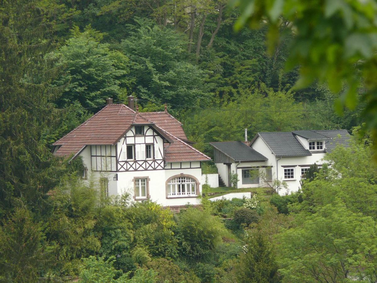 La Dependance De La Villa Des Oiseaux - La Petite Pierre Exterior foto