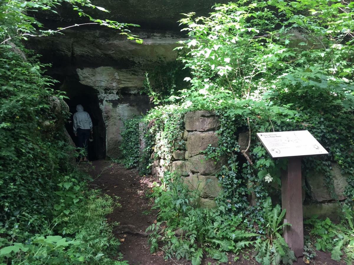 La Dependance De La Villa Des Oiseaux - La Petite Pierre Exterior foto