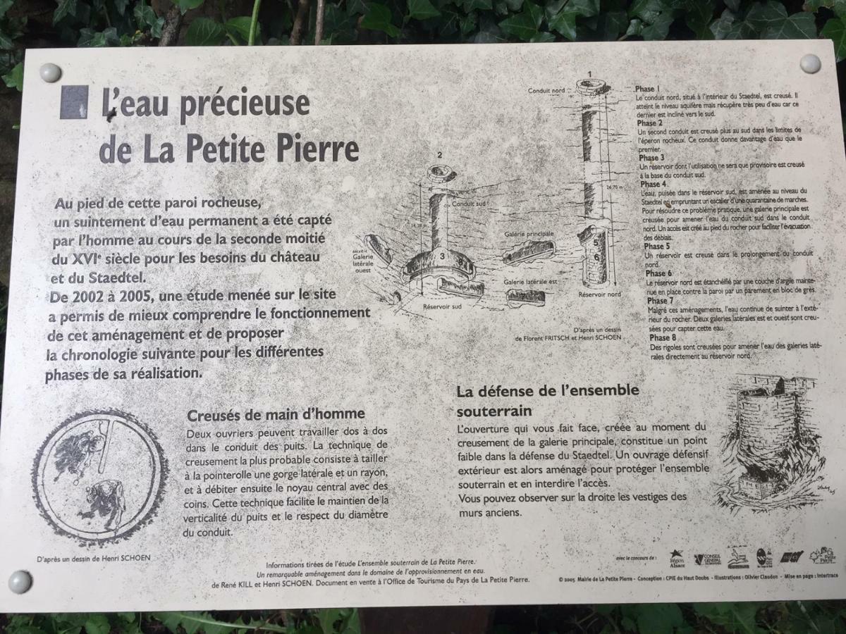 La Dependance De La Villa Des Oiseaux - La Petite Pierre Exterior foto