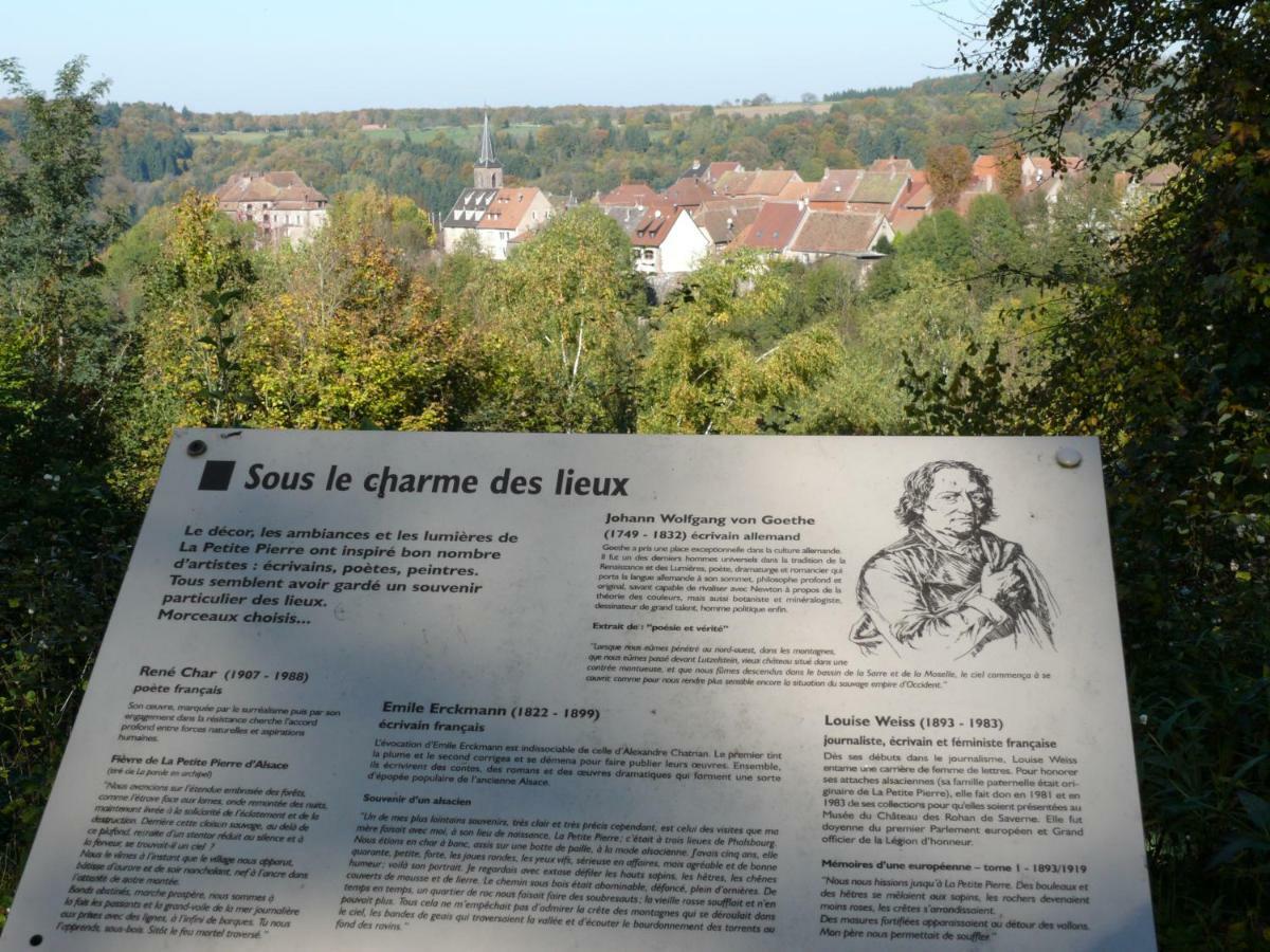 La Dependance De La Villa Des Oiseaux - La Petite Pierre Exterior foto