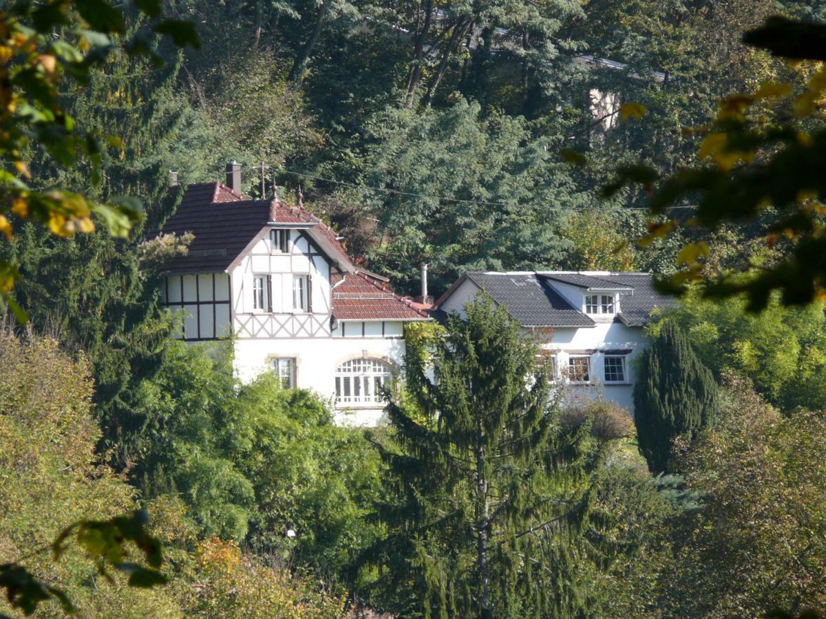 La Dependance De La Villa Des Oiseaux - La Petite Pierre Exterior foto
